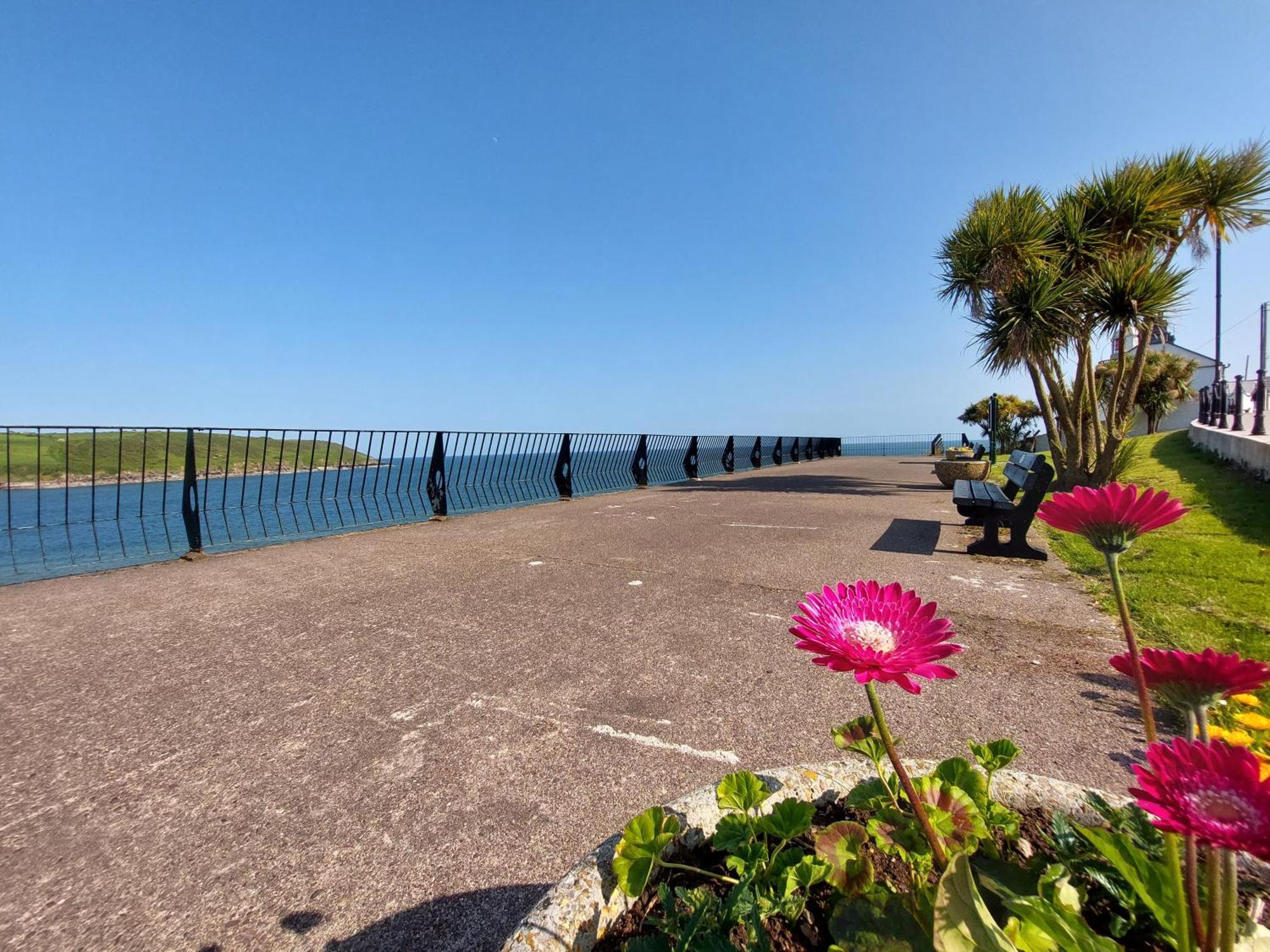 Sea Whispers - My Charming Costal Retreat In Youghal Exterior photo